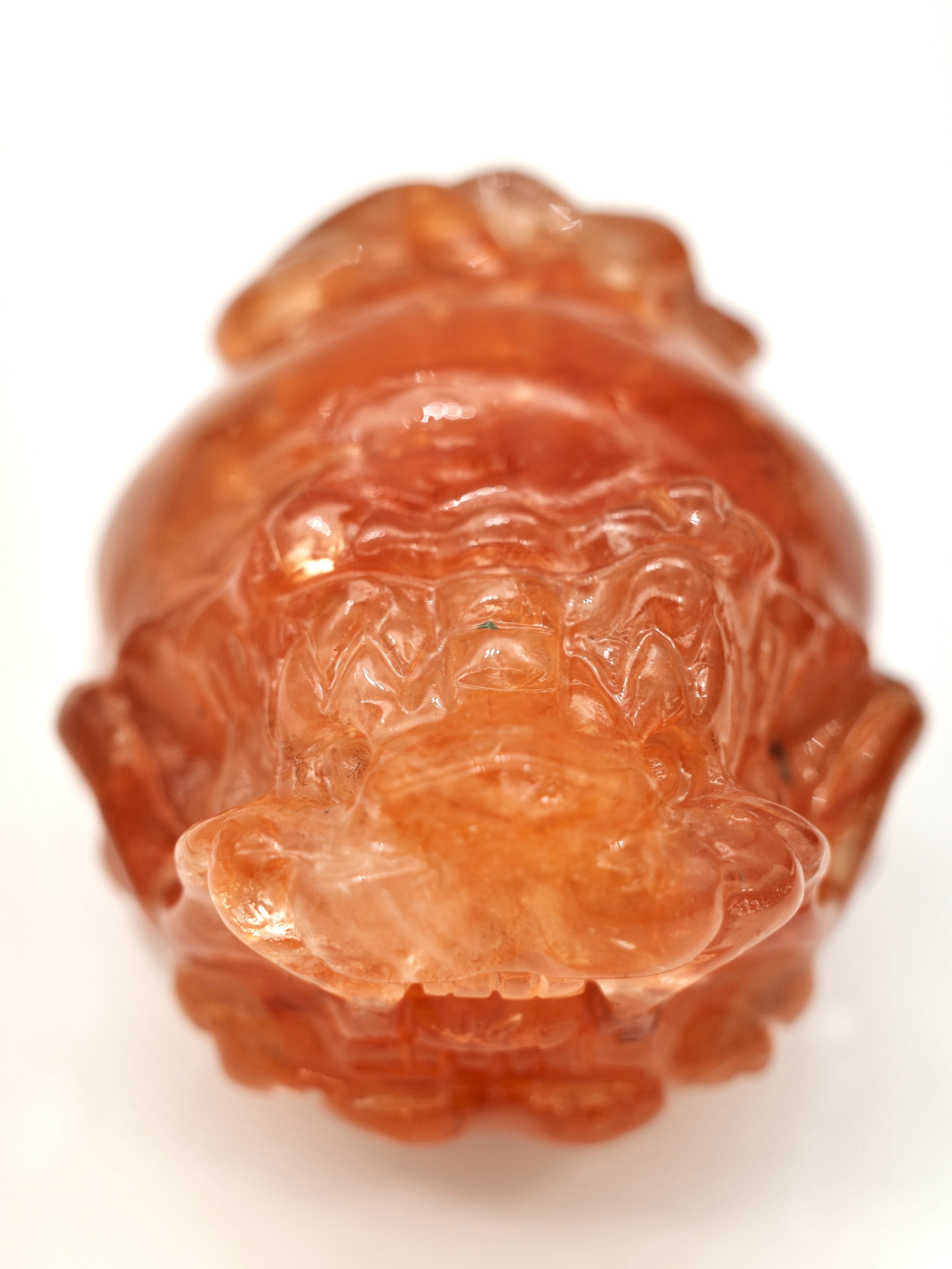 黃膠花龍龜 No.005