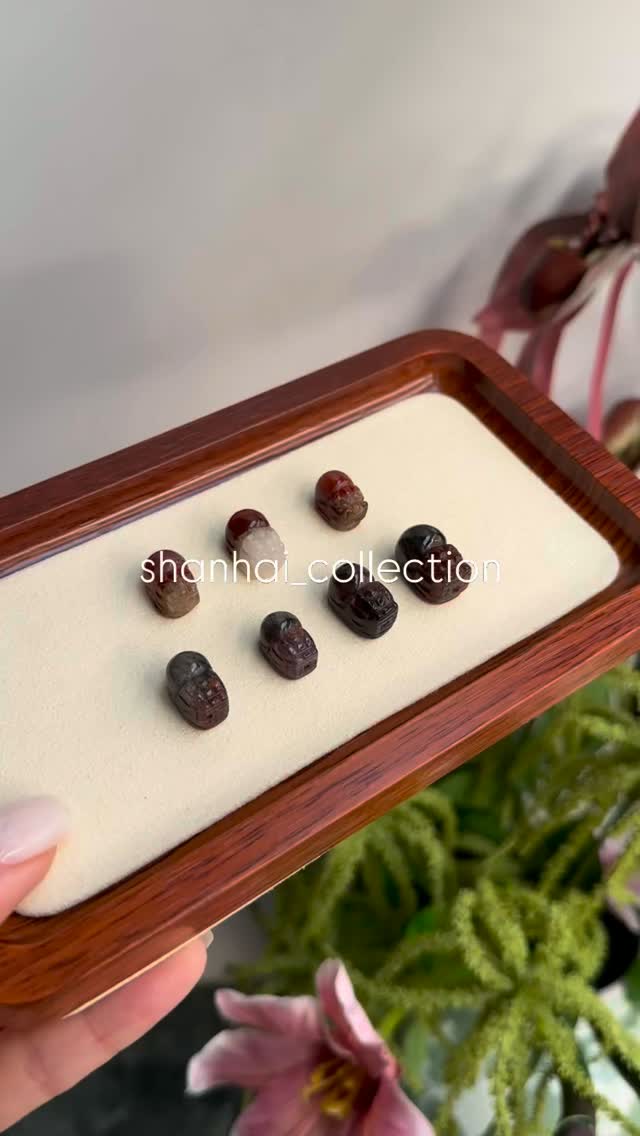 極光23 小高品